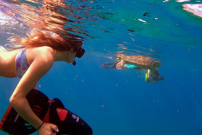 Sea Scooter Snorkeling Guided Tour - Turtle Town - Starting Point at Wailea Beach Access in Kihei