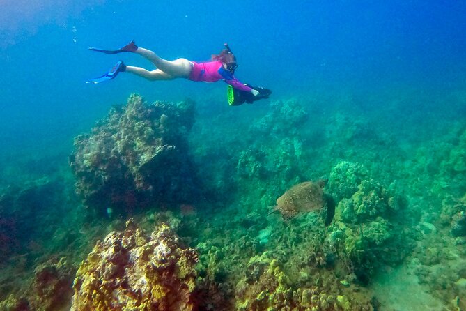 Sea Scooter Snorkeling Guided Tour - Turtle Town - The Rich Marine Ecosystem at Turtle Town