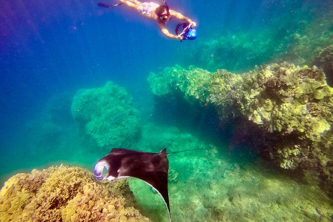 Sea Scooter Snorkeling Guided Tour - Turtle Town - What Makes the Sea Scooter Experience Stand Out