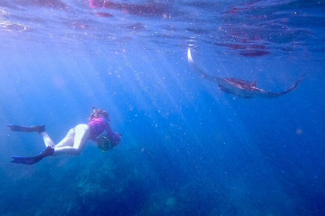 Sea Scooter Snorkeling Guided Tour - Turtle Town - Logistics and Convenience