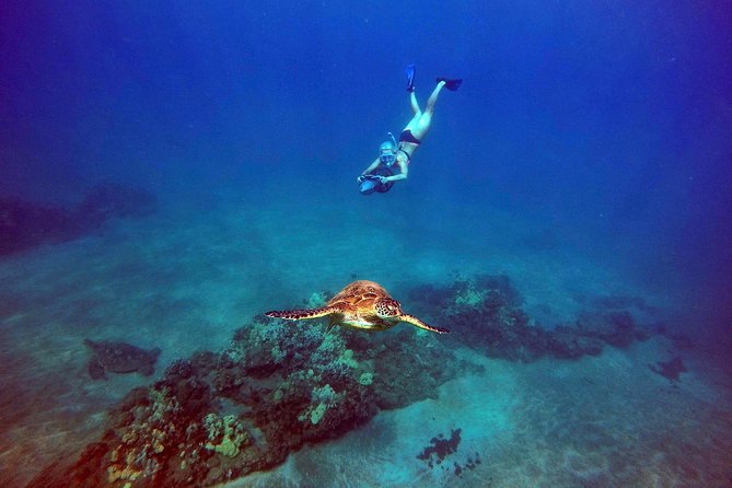 Sea Scooter Snorkeling Guided Tour - Wailea Beach - Booking and Cancellation Policy