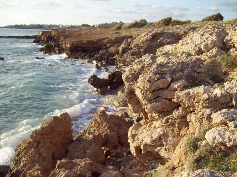 Sea Star Blue Lagoon Round Trip Cruise from Paphos - The Blue Lagoon and Sea Caves: The Main Attractions