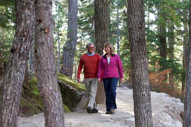 Sea to Sky Gondola Ticket - Practical Tips for Visiting the Gondola