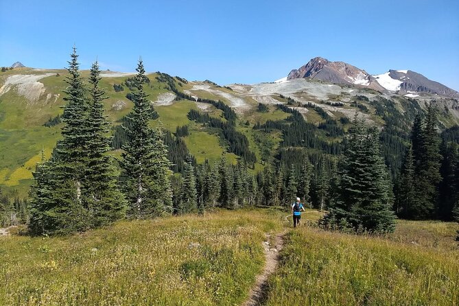 Sea to Sky Hiking Adventure - Personalized Guidance by a Certified Mountain Guide