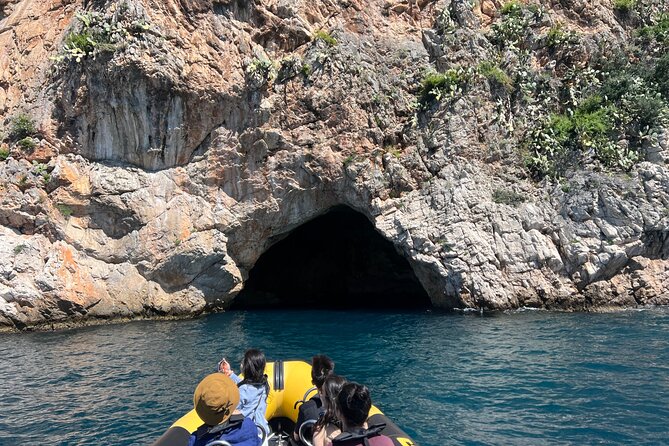 Sea trip from Villefranche sur Mer to Mala with swimming - Why Choose This Sea Trip from Villefranche-sur-Mer to Mala