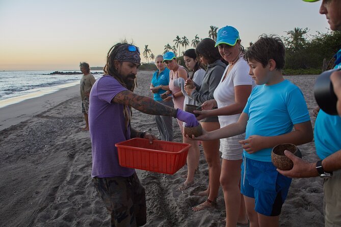 Sea Turtle Release  A Puerto Vallarta Conservation Adventure - Sunset Turtle Release: A Moment of Connection