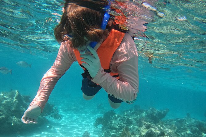 Sea Turtle Snorkeling in Akumal - Key Points