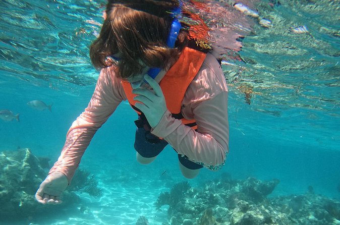 Sea Turtle Snorkeling in Akumal - Pacing and Group Size: Ensuring a Personal Experience