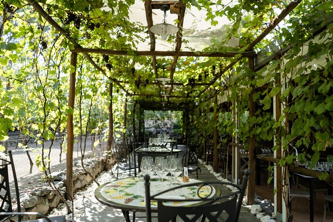 Seafood Lunch & Wine Tasting with Scenic Golf Cart Tour - Pompeii Ruins and Vineyard Tour Combined