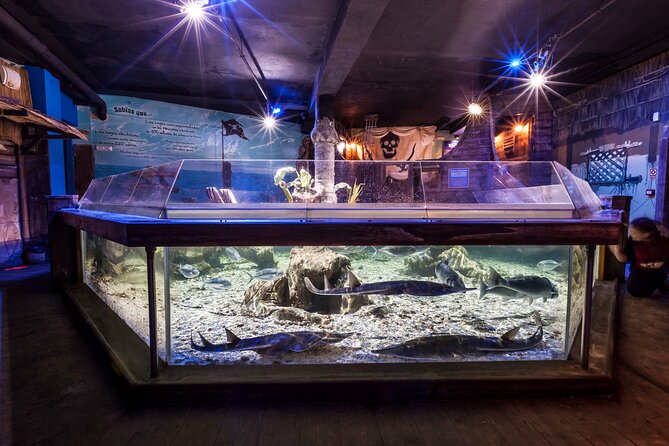 Sealife Benalmadena Entrance Ticket - What You Win with Prebooked Tickets