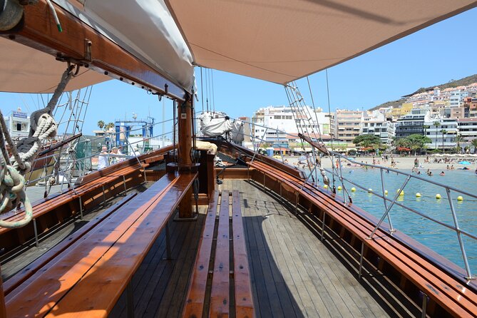 Sealife Dolphin & Whale Watching aboard Portuguese schooner - Dive Into Tenerife’s Marine Life on a Stylish Wooden Schooner