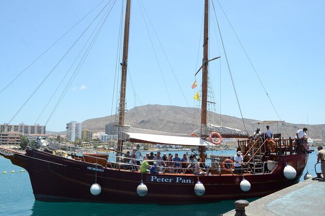 Sealife Dolphin & Whale Watching aboard Portuguese schooner - Marine Life Spotting: Whales and Dolphins