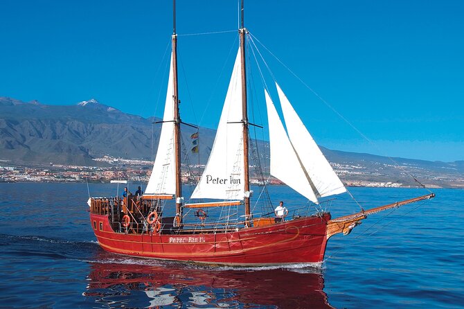 Sealife Dolphin & Whale Watching aboard Portuguese schooner - What Sets This Tour Apart from Other Marine Excursions