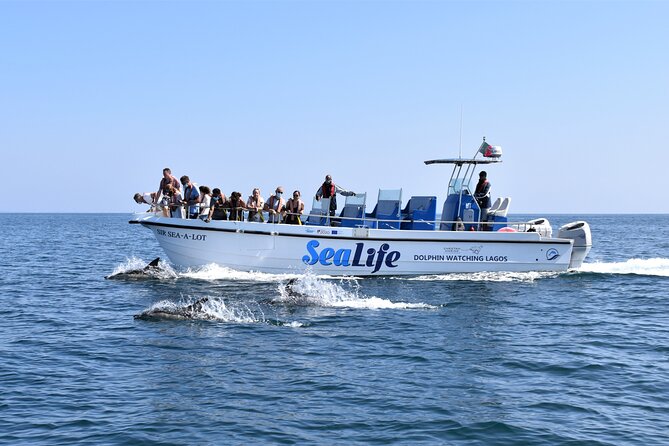 Sealife Sea Safari, Dolphin Watching with Marine Biologist's Lagos - Unlock the Secrets of the Atlantic with Sealife Dolphin Watching in Lagos