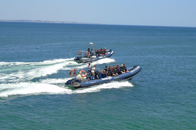 Sealife Sea Safari, Dolphin Watching with Marine Biologist's Lagos - The Experience: A Fun, Educational Marine Safari