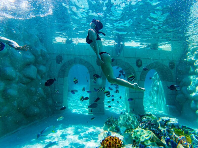 Seapark: Swimming in Pool Aquarium with Authentic Creatures - The Unique Setting of the Tropical Beach Entrance