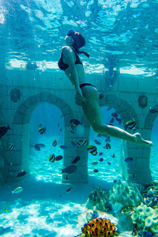 Seapark: Swimming in Pool Aquarium with Authentic Creatures - Thrilling Encounters with Rays and Sharks