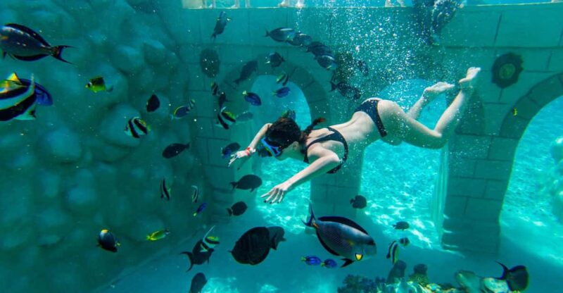 Seapark: Swimming in Pool Aquarium with Authentic Creatures - Practical Considerations and What’s Not Included