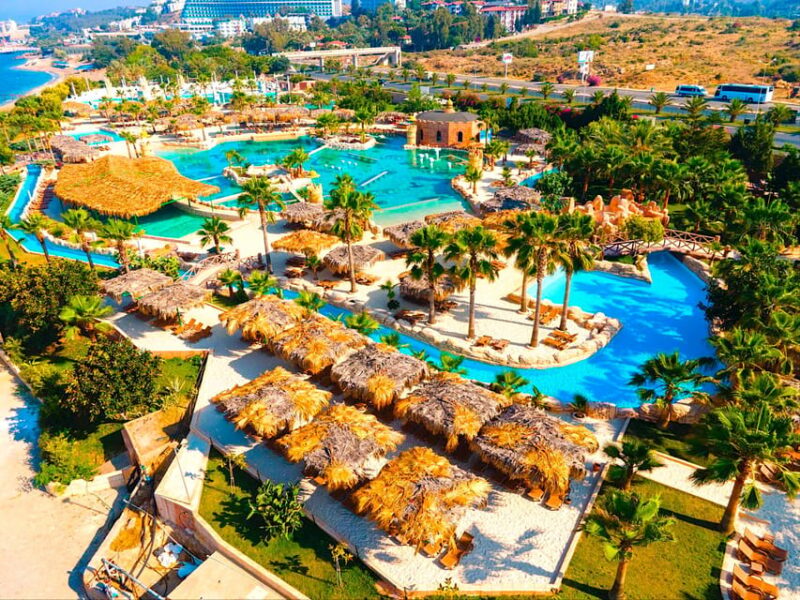 Seapark: Swimming in Pool Aquarium with Authentic Creatures - Final Thoughts on Seapark’s Swimming and Aquarium Experience