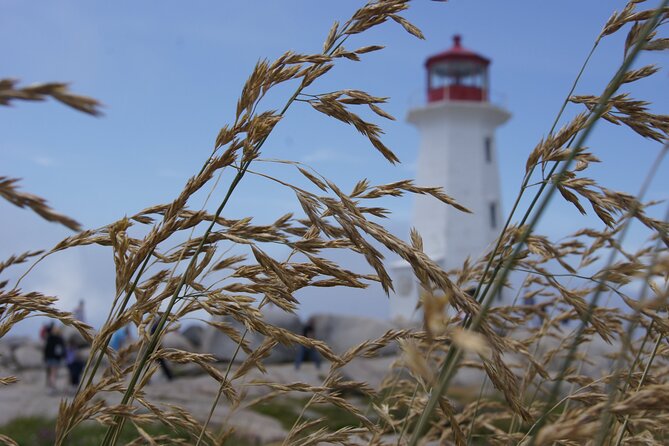 Seascape Excursions of Nova Scotia - Starting Point: Pickup and Flexibility in Scheduling