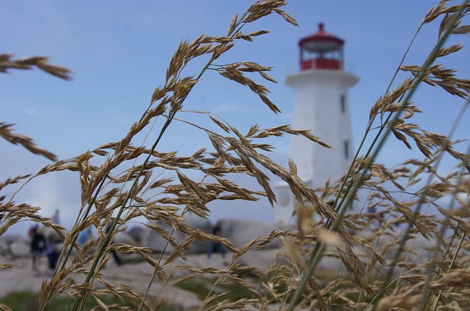 Seascape Excursions of Nova Scotia - Comparing the Tour with Similar Halifax Experiences