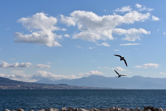 Seaside Naples Food Tour with Marina Promenade & Visit of Castel dell'Ovo - Exploring the Spanish Quarters and Tasting Local Fish Dishes