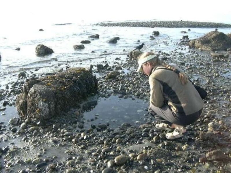 Seattle: Alki Lighthouse Sea Kayak Tour - Meeting at Seacrest Boathouse for a Guided Kayak Orientation