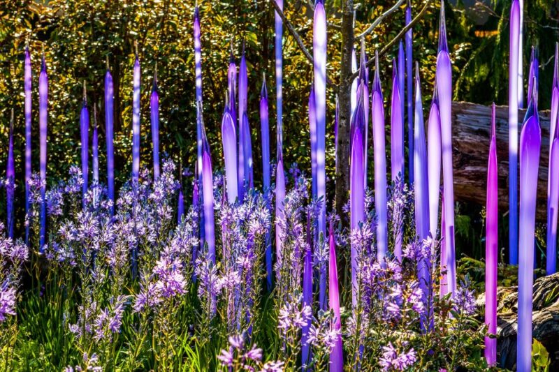 Seattle: Chihuly Garden and Glass Entry Ticket - Key Points