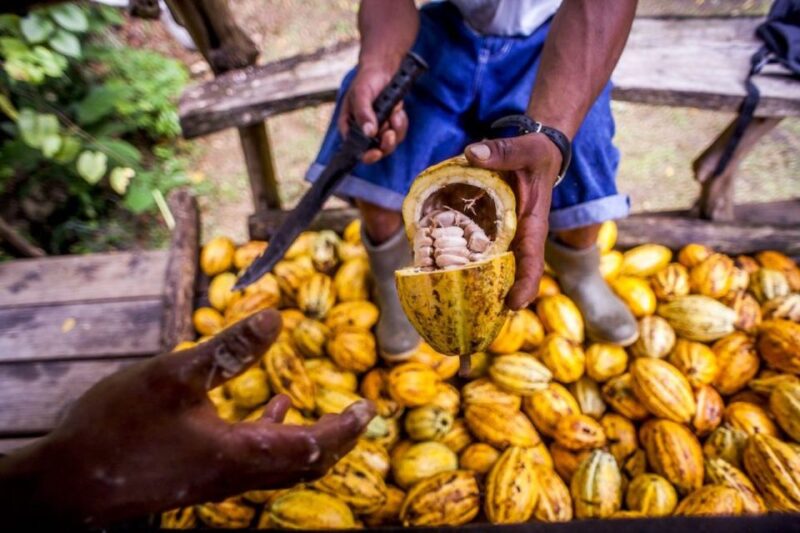 Seattle: Chocolate Tour with Tastings - The Starting Point at Dahlia Bakery in Downtown Seattle