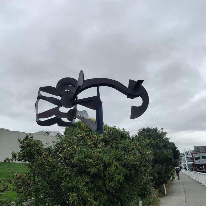 Seattle: City's Longest Historic & Cultural Walking Tour - Views of Mount Rainier and the Waterfront