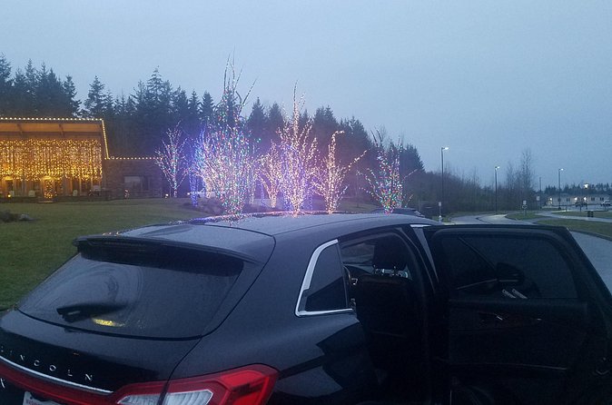 Seattle Cruise Port and Downtown Hotel One Way Transfers - What Makes This Transfer Service Unique in Seattle