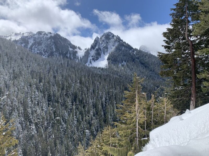 Seattle: Mt. Rainier Hiking w/ Waterfalls, Glaciers & Trees - How Accessible Is the Tour for Different Fitness Levels?