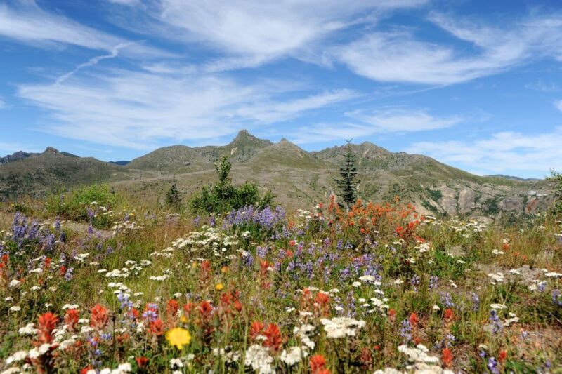 Seattle: Mt. St. Helens National Monument Small Group Tour - Physical Requirements and Accessibility