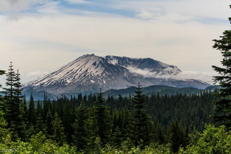 Seattle: Mt. St. Helens National Monument Small Group Tour - Who Should Consider This Tour