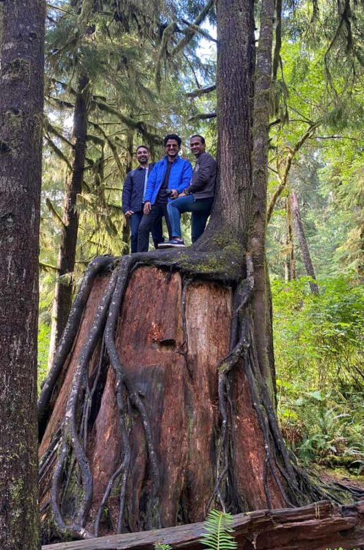 Seattle: Rainforest and Olympic National Park Highlights - Experience the Best of the Olympic Peninsula in One Day