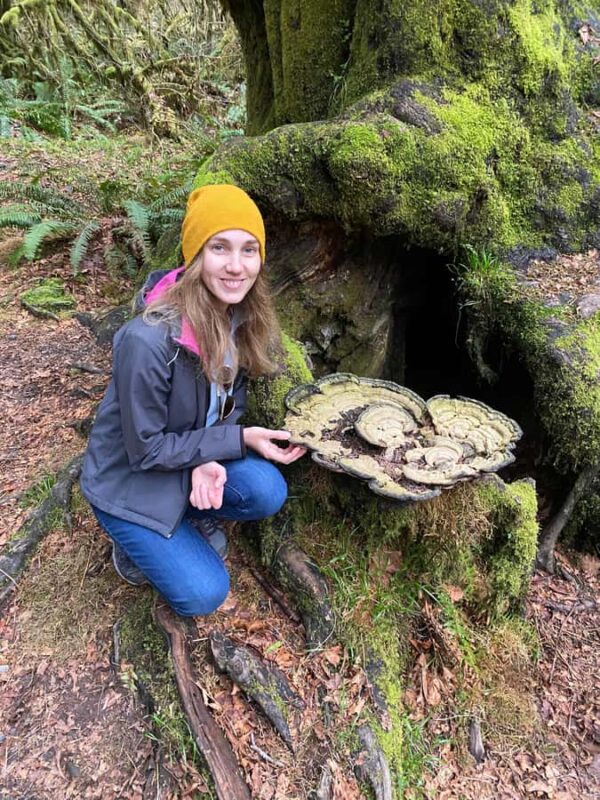 Seattle: Rainforest and Olympic National Park Highlights - Visiting Olympic National Parks Iconic Rainforests: Hall of Mosses and Quinault