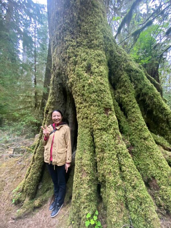 Seattle: Rainforest and Olympic National Park Highlights - Exploring Ruby Beach and Its Spectacular Coastal Views