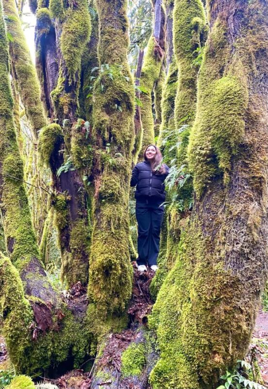 Seattle: Rainforest and Olympic National Park Highlights - Lake Crescent and Its Deep Blue Waters