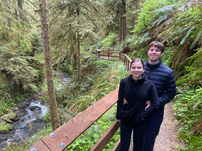 Seattle: Rainforest and Olympic National Park Highlights - Scenic Drive Through the Olympic Peninsula’s Wilderness