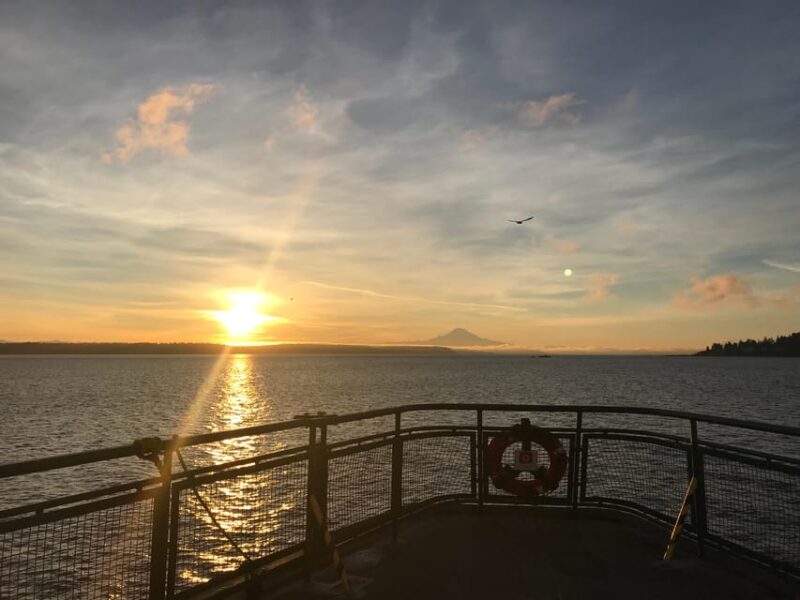 Seattle: Summer Views Cruise - Key Points