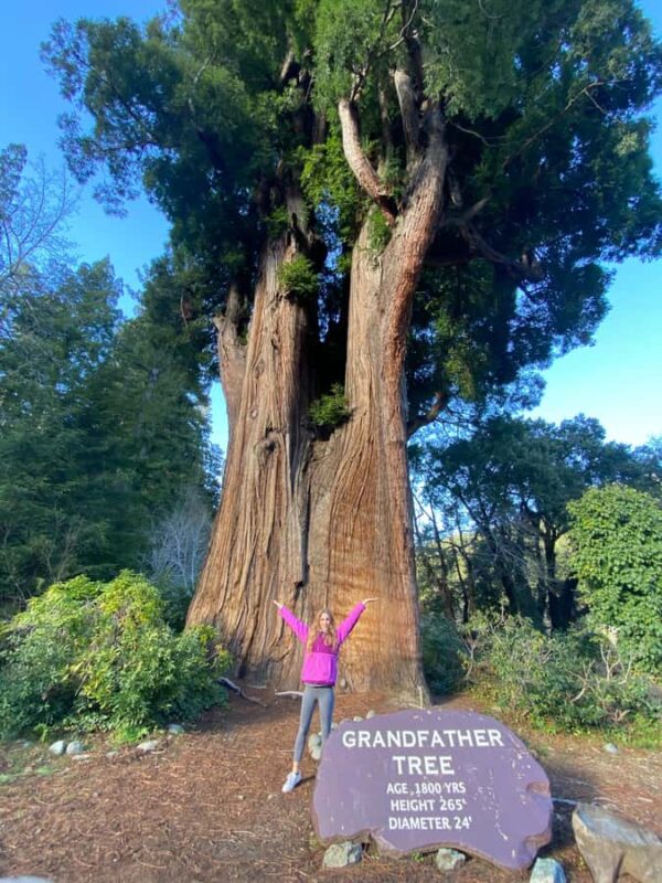 Seattle to California: National Parks and Coast Road Trip - Key Points