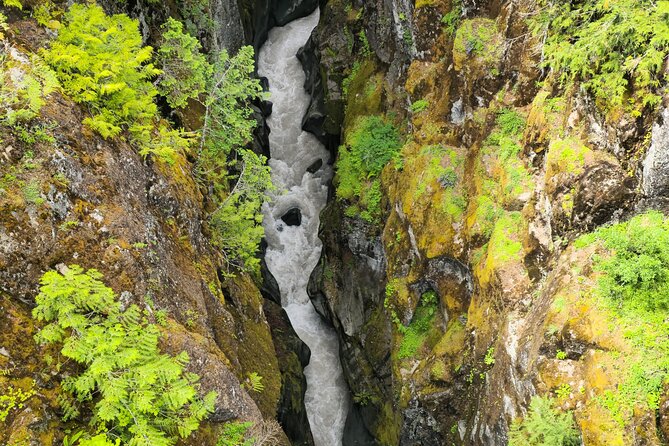 Seattle to Mt. Rainier, Special Private Tour away from the crowds - Iconic Viewpoints: Box Canyon and Reflection Lakes