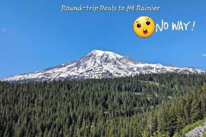 Seattle, WA Hourly Rental Around Town & Sightseeing - Ideal For Travelers Who Value Privacy and Flexibility