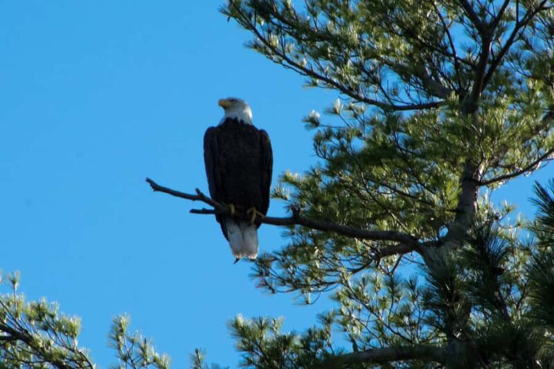 Sebago Lake Guided Sunset Tour by Kayak - Meeting Point and Logistics