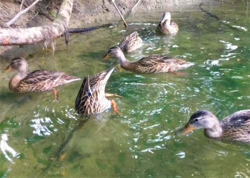 Sebago Lake Guided Sunset Tour by Kayak - What to Bring and Wear