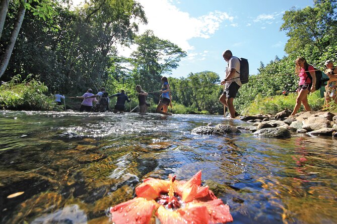 Secret Falls Kayak and Hike in Kauai - Kayaking on the Wailua River: A Scenic 4-Mile Paddle