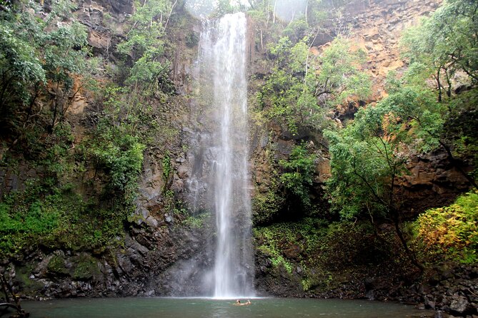 Secret Falls Kayak and Hike in Kauai - Physical Requirements and Safety Tips