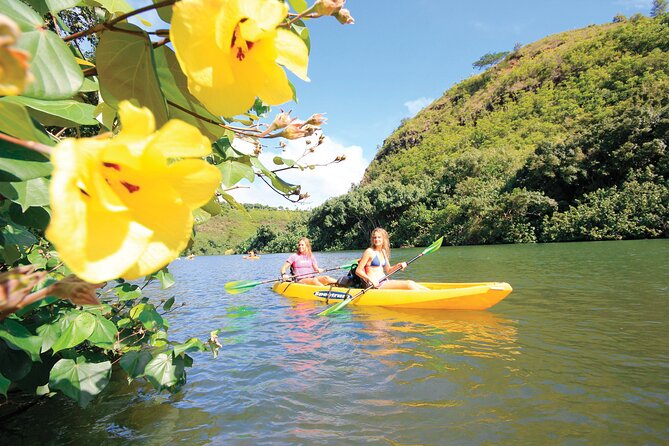 Secret Falls Kayak and Hike in Kauai - Guides, Personalities, and Educational Insights