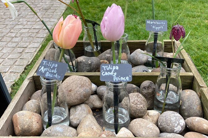 Secret Gardens of London Private Tour - Exploring the Chelsea Physic Garden, a Medicinal Plant Haven