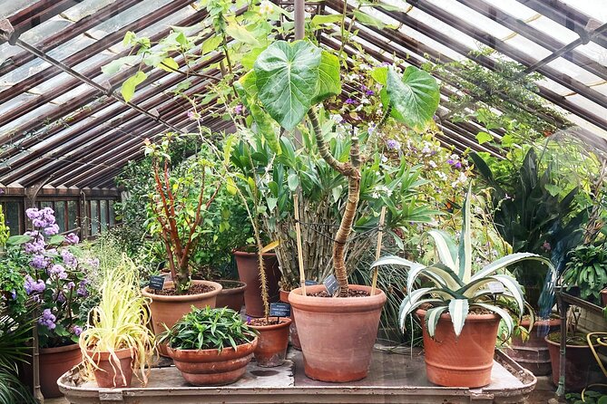 Secret Gardens of London Private Tour - Afternoon Tea at Kensington Palace: A Regal Ending